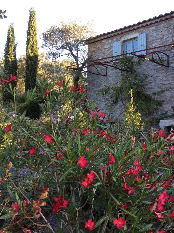 Bed and Breakfast Le Petit Mas Vogue Exteriér fotografie